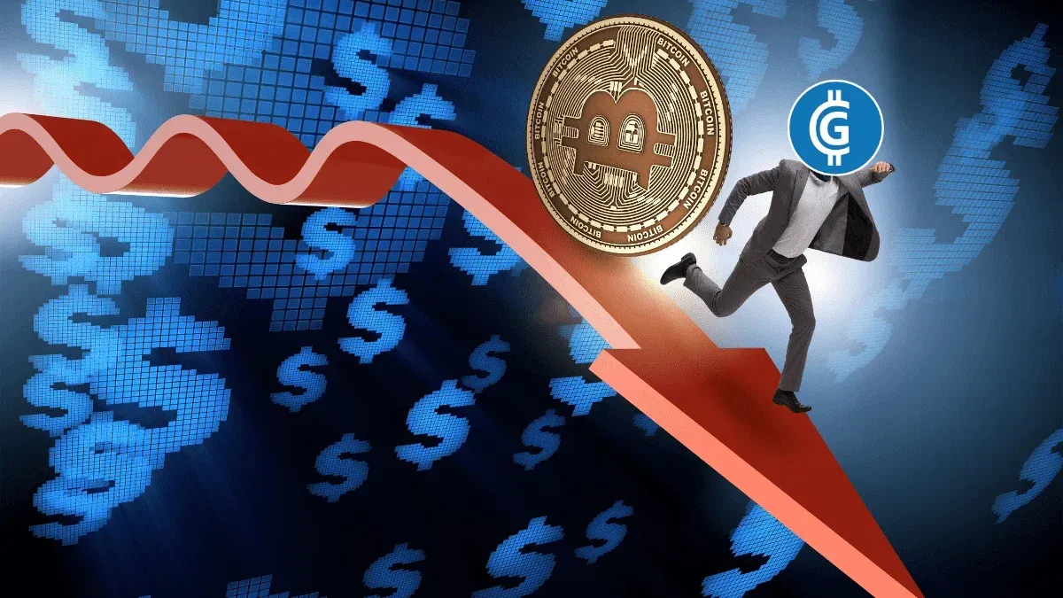 crypto back crypto back