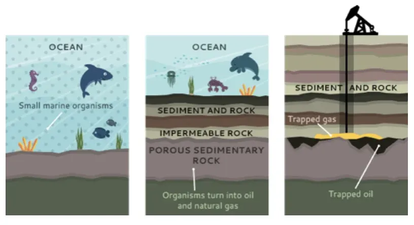 Formation and Origin of Crude Oil Formation and Origin of Crude Oil