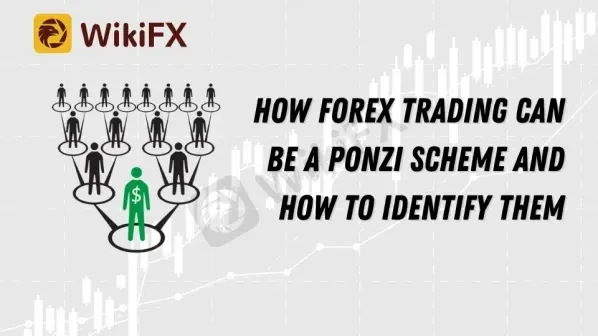 Tips for Identifying Forex Scams Tips for Identifying Forex Scams
