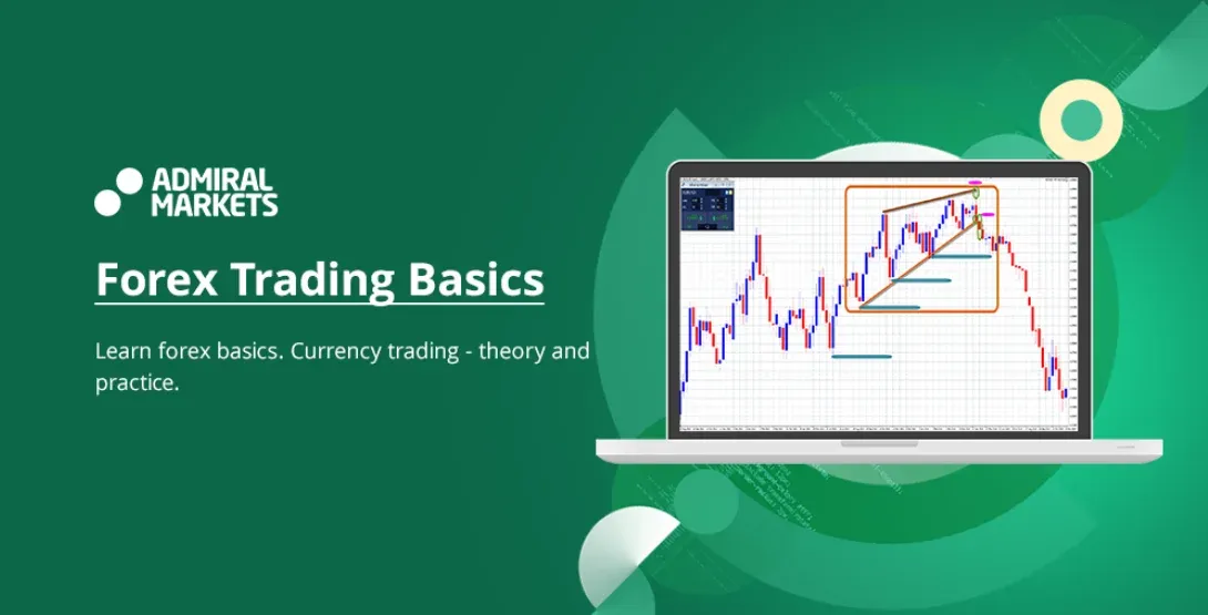 How Can a Novice Trader Learn Forex Trading?