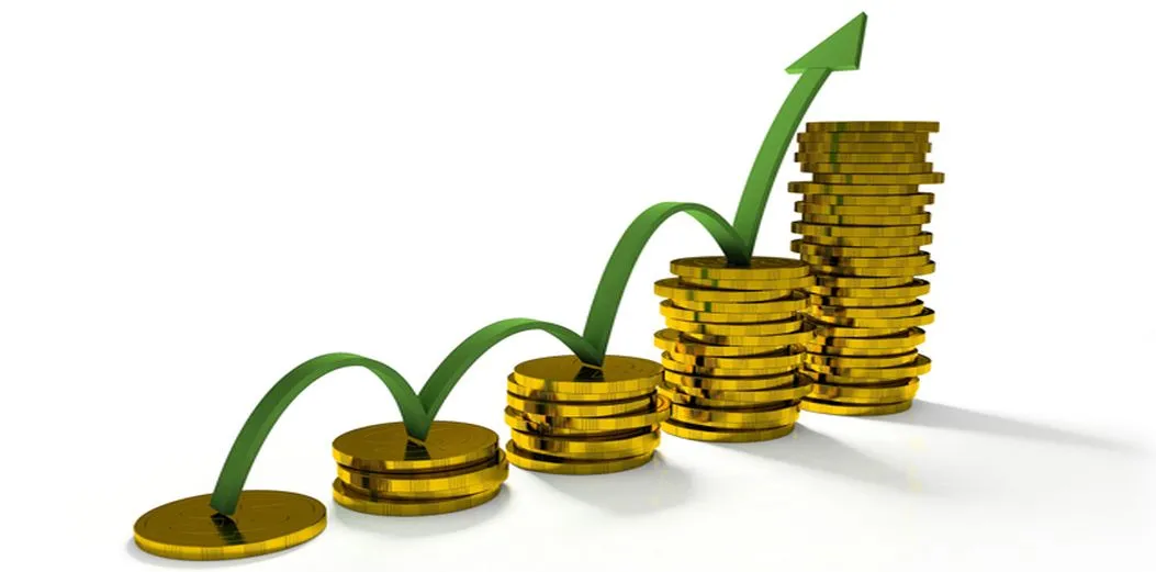 Rapid Growth Rapid Growth