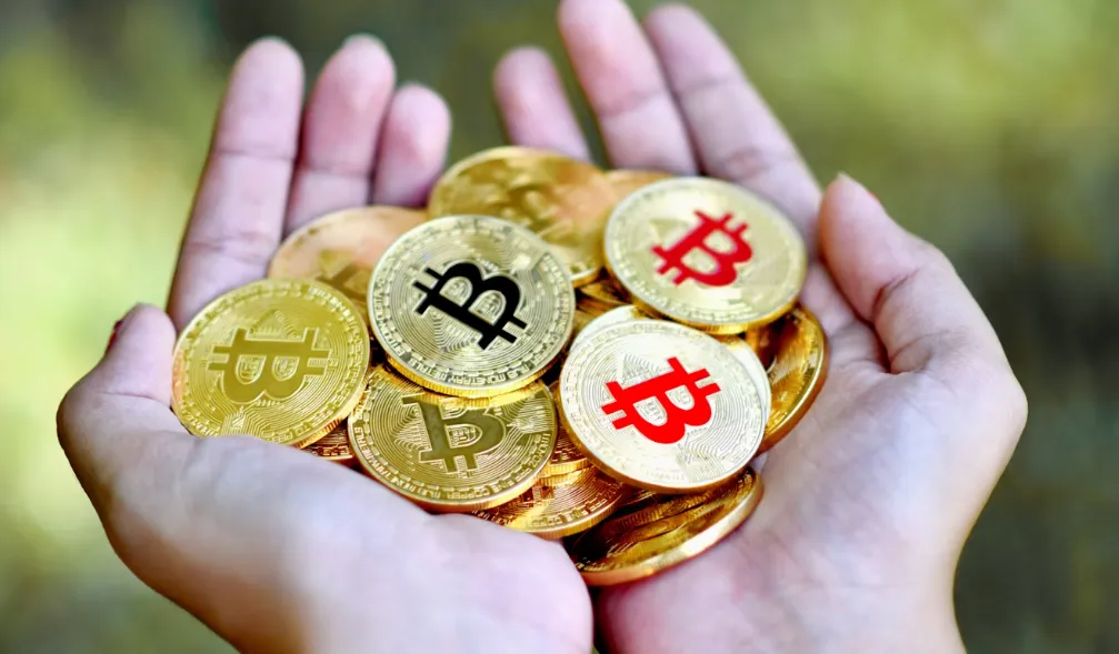 Bitcoin wallet