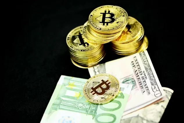 do with Bitcoins do with Bitcoins