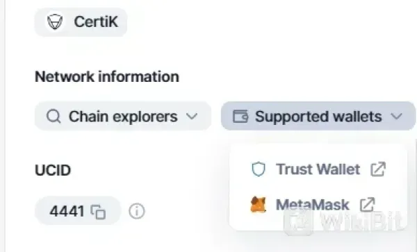 How to Store Vectorspace AI (VXV)?
