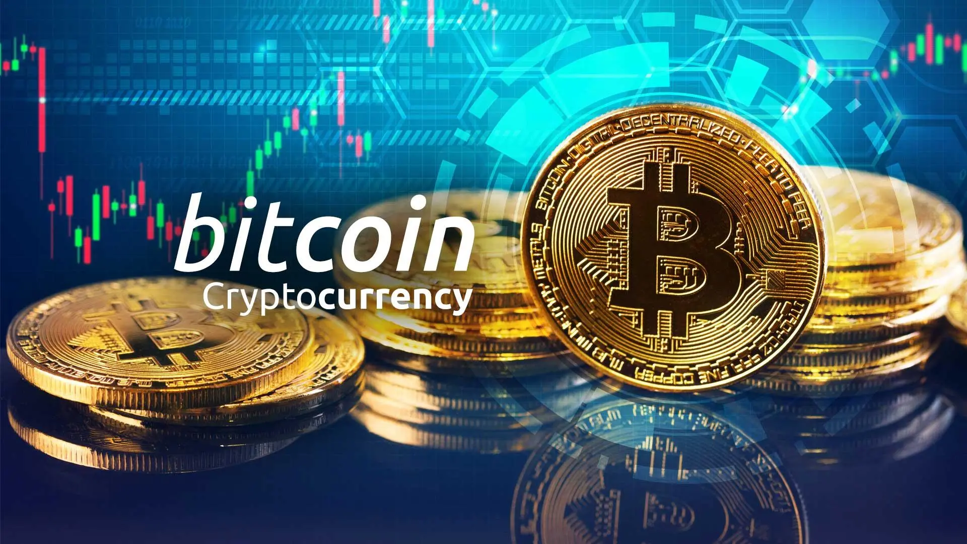 Crypto or Bitcoin Crypto or Bitcoin