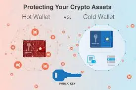 Hot Wallet vs. Cold Wallet Hot Wallet vs. Cold Wallet