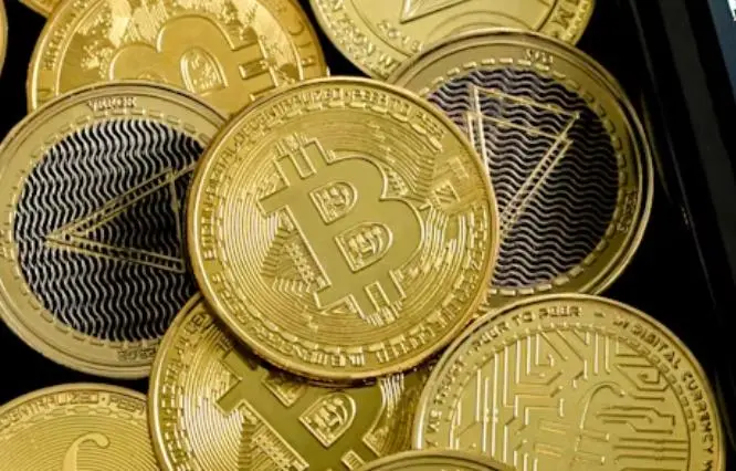 wallet address wallet address