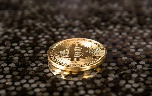 other cryptos other cryptos