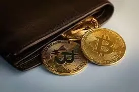 Crypto Wallet Apps Crypto Wallet Apps