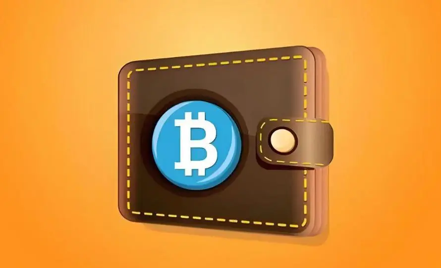 Hot Wallets vs. Cold Wallets