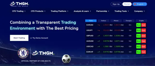 Pangkalahatang-ideya ng TMGM