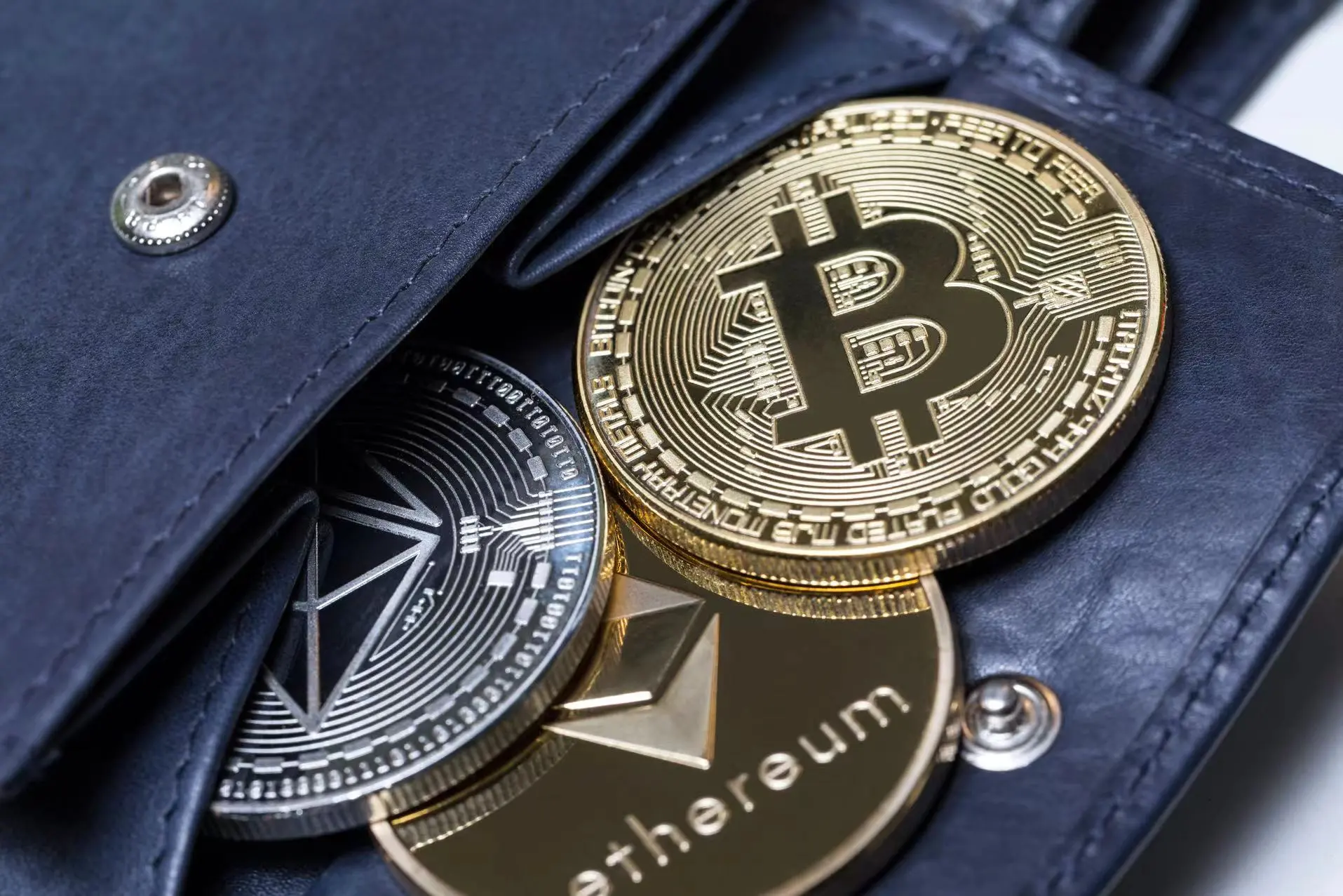 stable currency form stable currency form