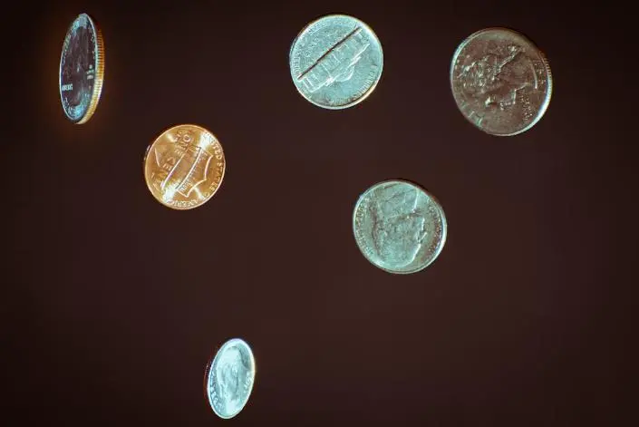 Mule Dollar