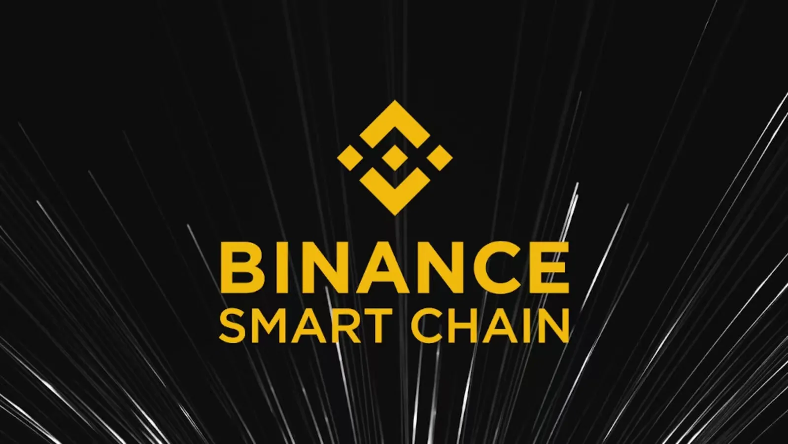 The Binance Smart Chain The Binance Smart Chain