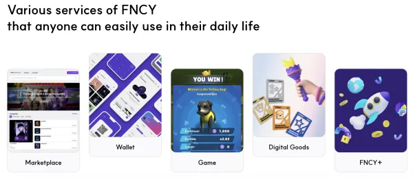 FNCYのユニークさは何ですか？