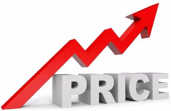 Potential Investors Potential Investors