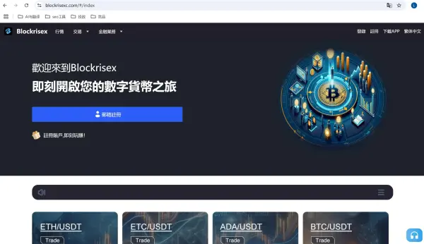 Blockrisex 基本信息