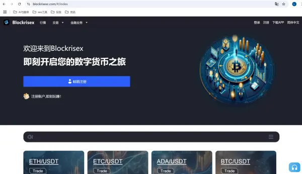 Blockrisex 基本信息