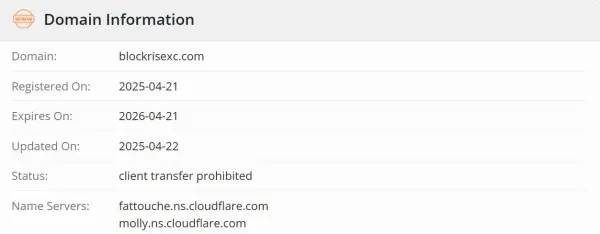 Blockrisex は安全で正当なのか